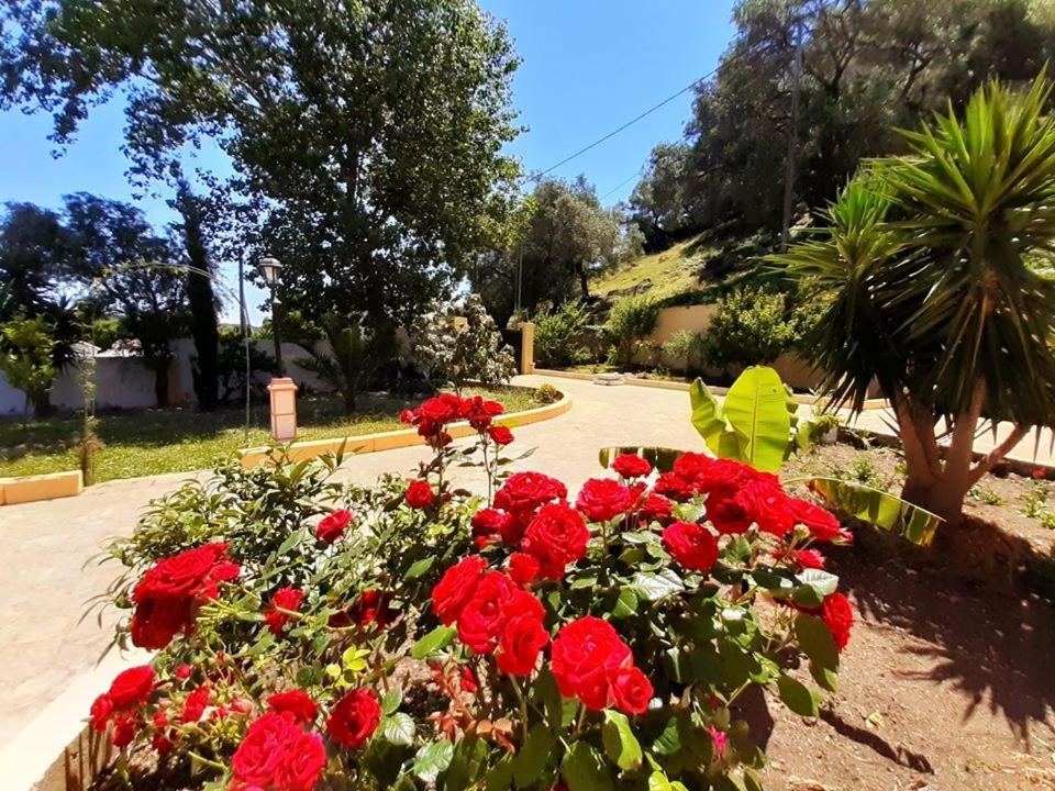 Villa Silvia Agios Matthaios  Luaran gambar